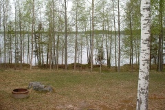 Koivula