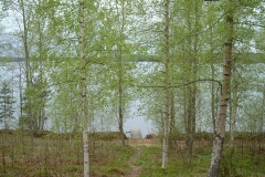 Mäntylä